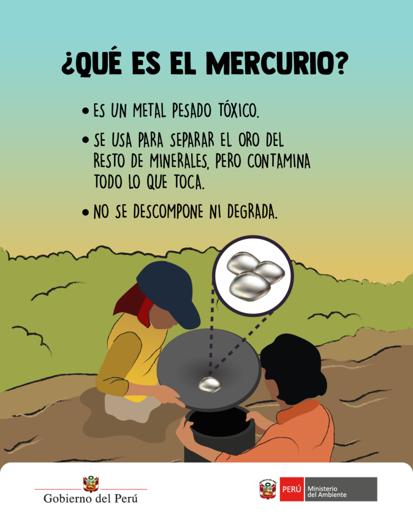 Que es el mercurio?es un metal pesado toxico se usa para separar el oro del resto de minerales, pero contamina todo lo que toca no se descompone ni degrada