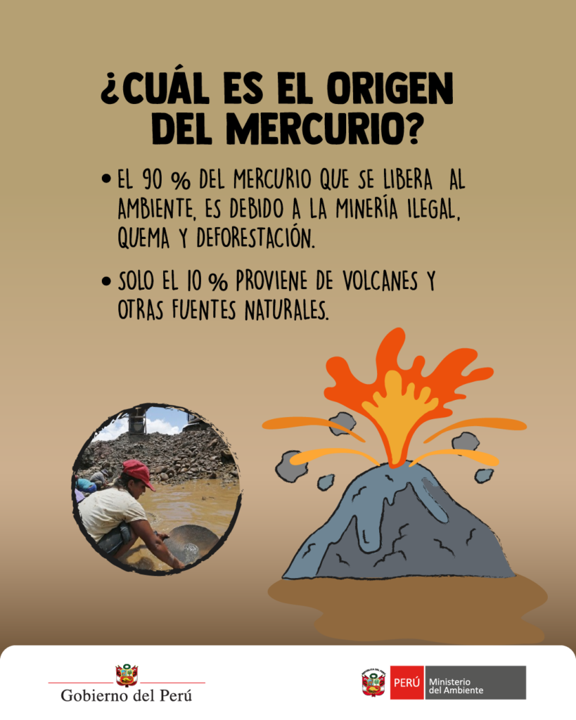 Cual es el origen del mercurio?el 90% del mercurio que se libera al ambiente, es debido a la minería ilegal, quema y deforestación. solo el 10% proviene de volcanes y otras fuentes naturales.