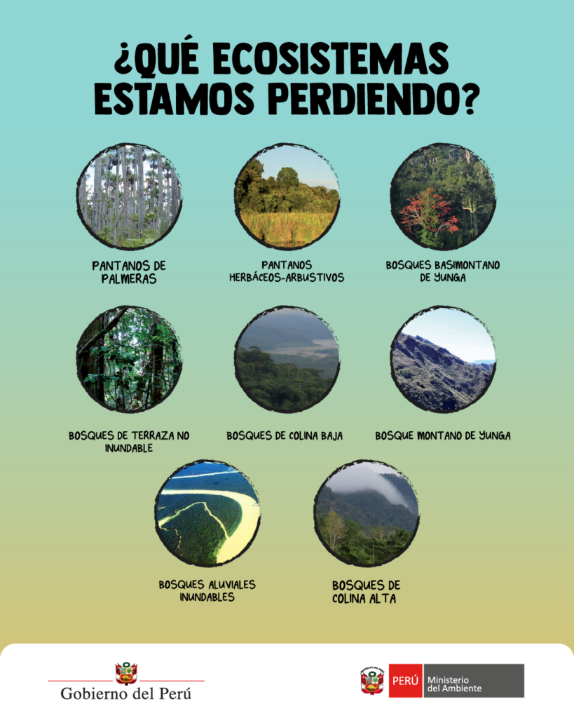 que ecosistemas estamos perdiendo?