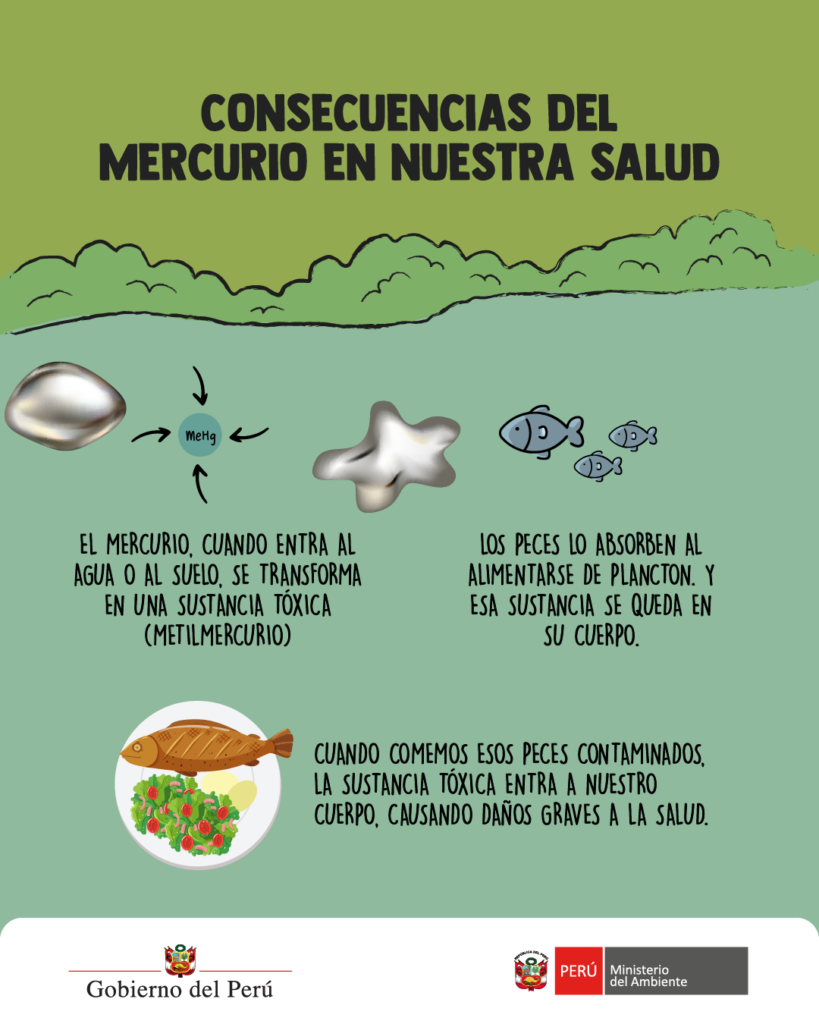 consecuencias del mercurio en nuestra salud