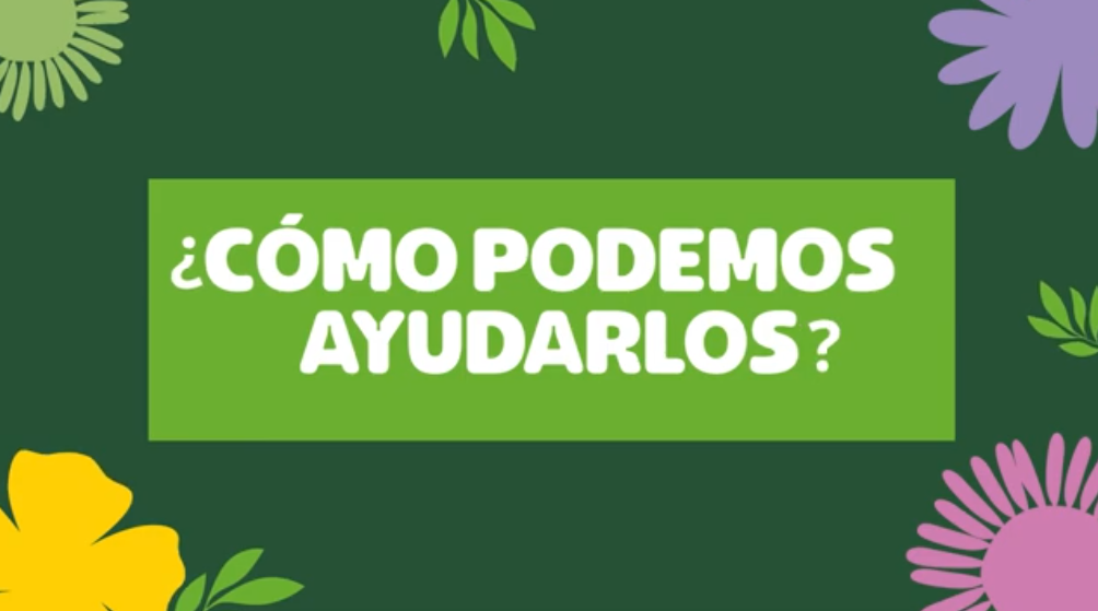 Captura de pantalla 2026-04-27 114703