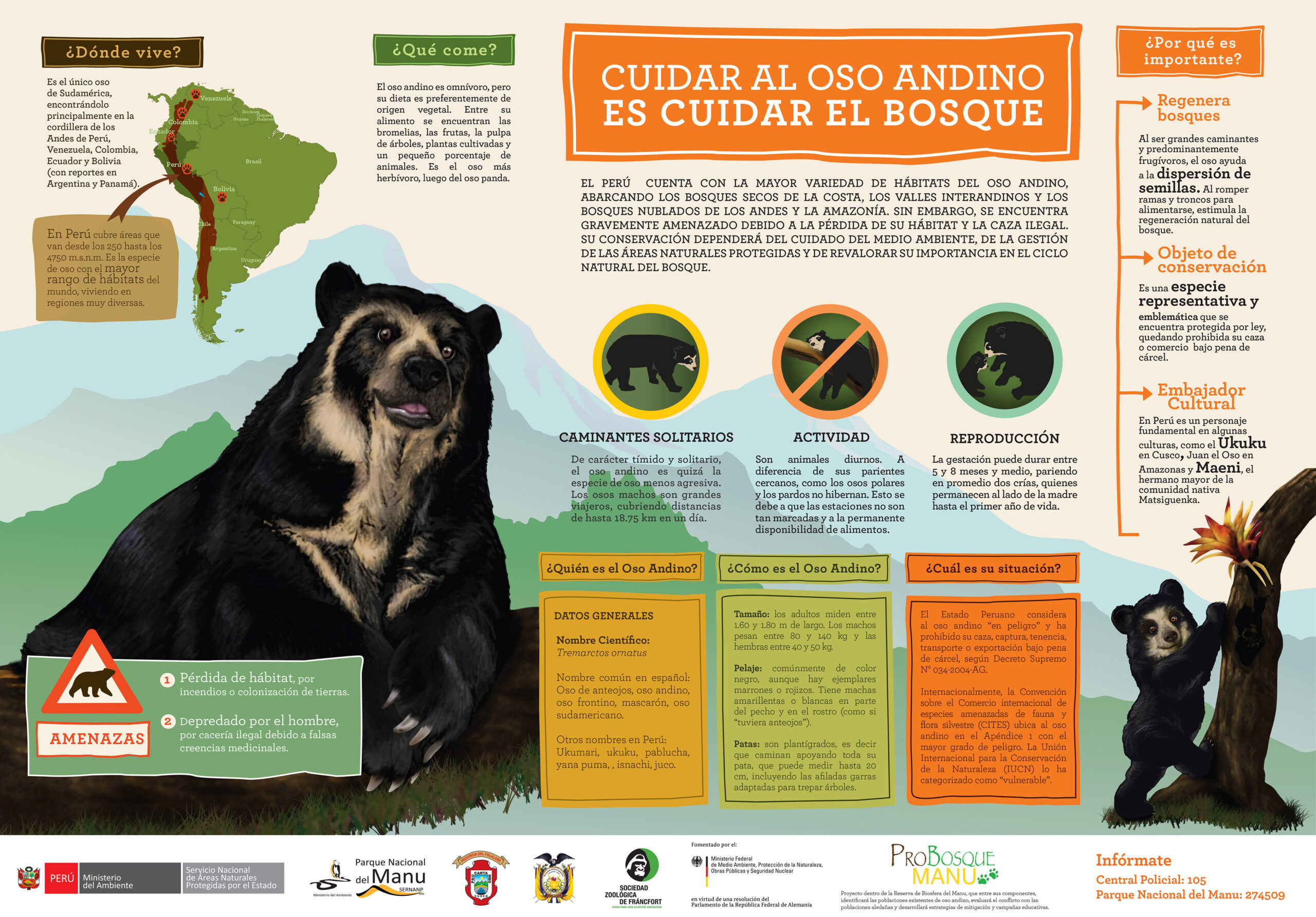 5.-Cuidar-al-Oso-Andino-Infografia-adolecentes-LEO--scaled
