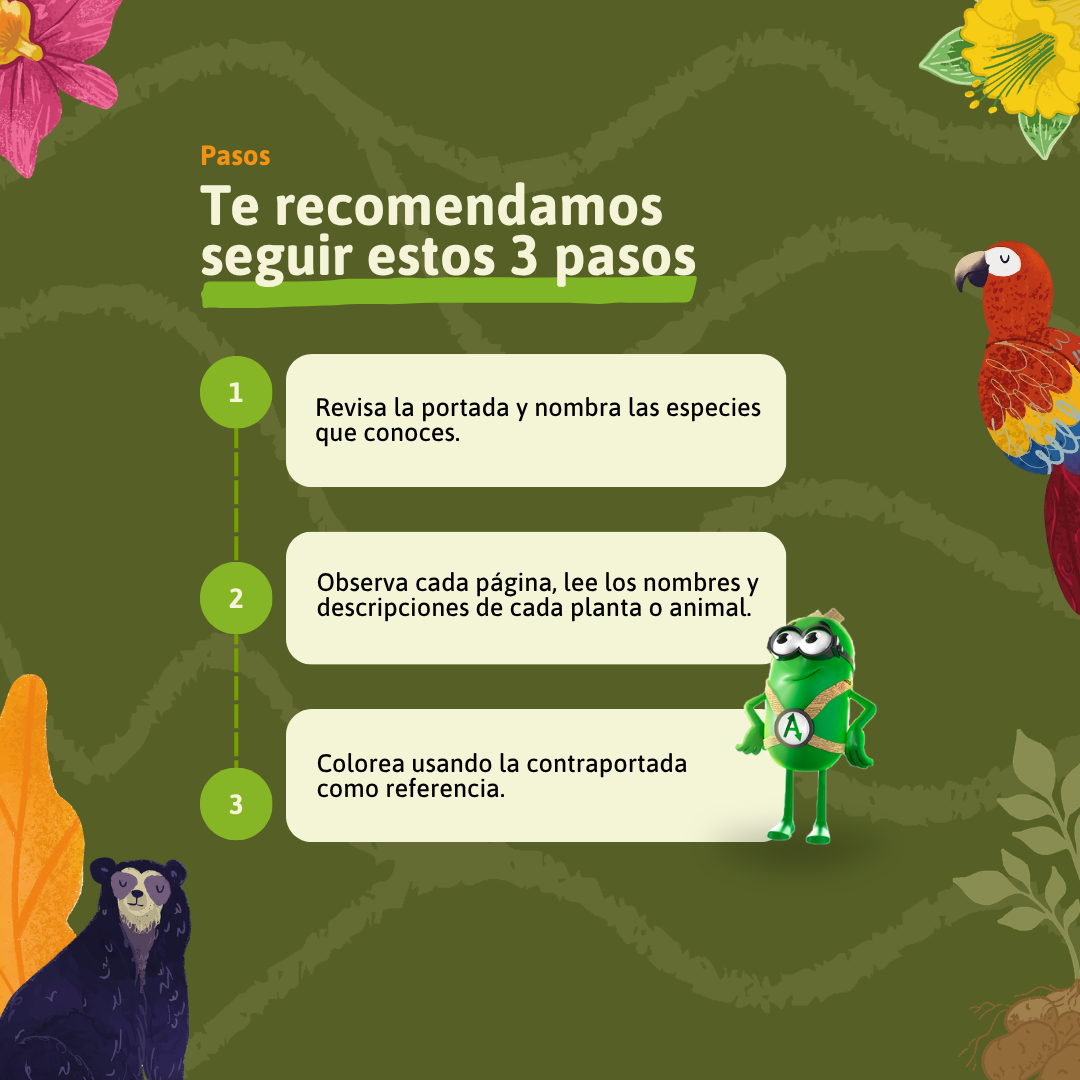 LIBRO COLOREA (1)