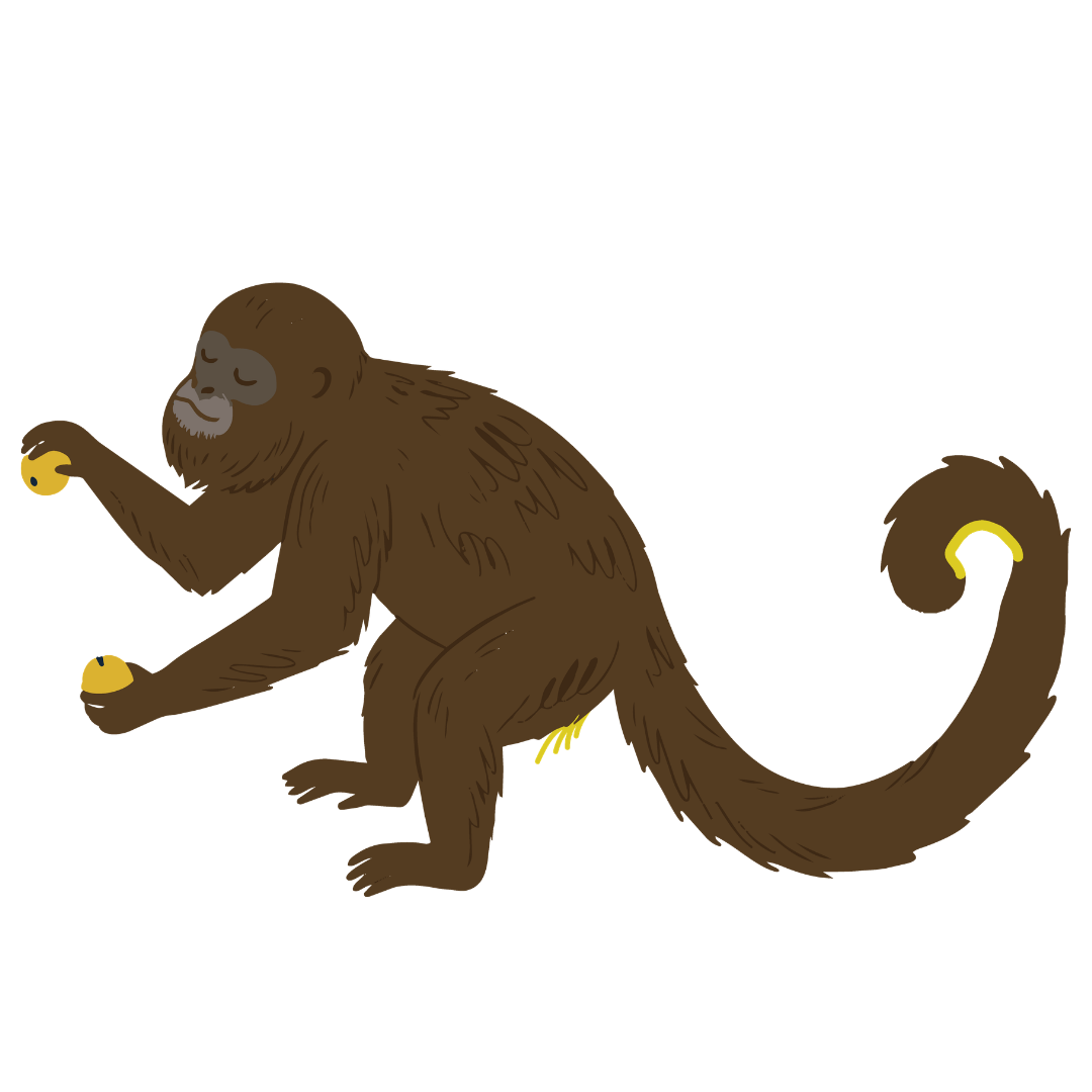 MONOAN