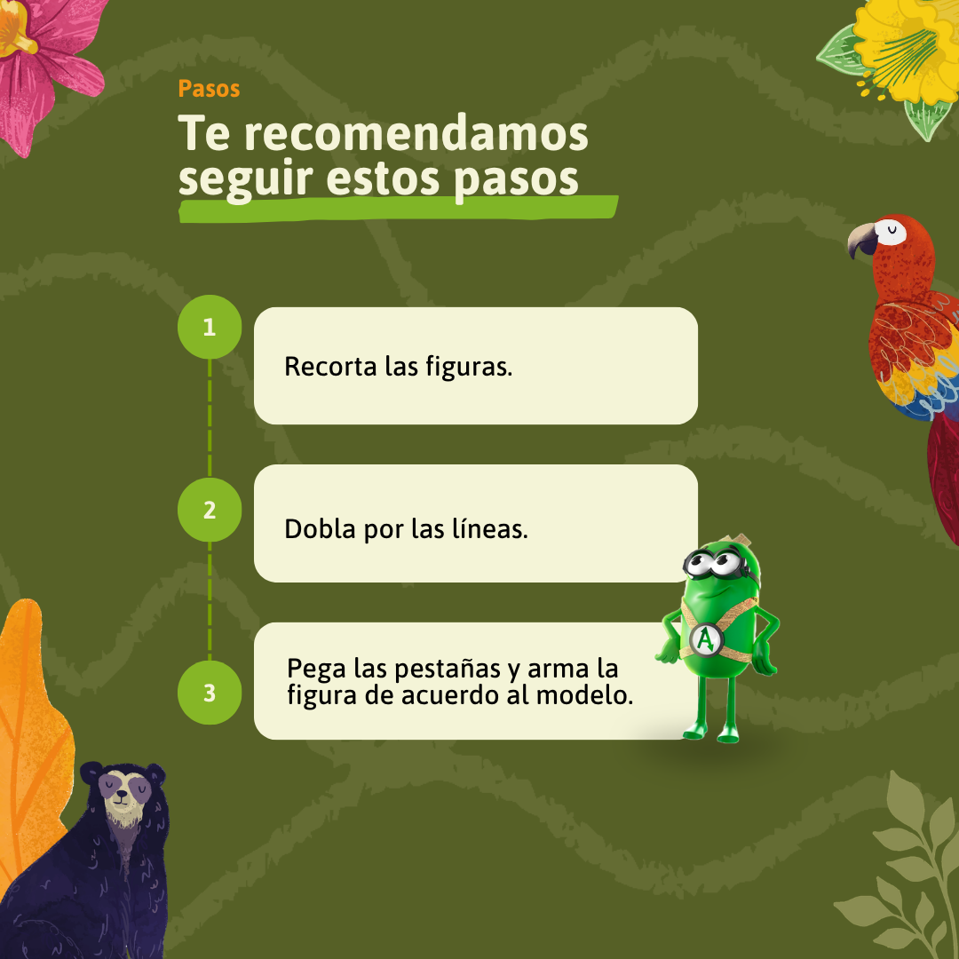 PASOS DE ARMABLE