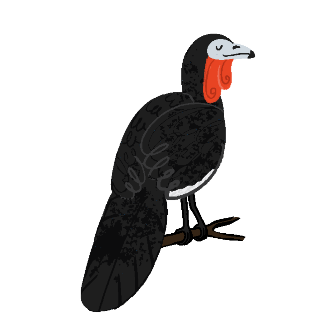 PAVACONPATAS