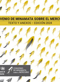 Minamata-Convention-booklet-Oct2024-ES_0